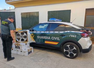 Investigan a un vecino de Martos como presunto autor de una simulación de delito