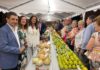 Reyes ensalza la riqueza de los productos agroalimentarios jiennenses en el Concurso Hortofrutícola de Alcaudete