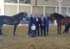 Inaugurado el XXXIII Campeonato Andaluz de Caballos de Pura Raza Española