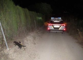La Guardia Civil investiga al presunto autor de un delito de uso de lazos ilegales