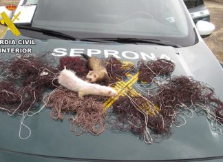 La Guardia Civil investiga al presunto autor de un Delito contra la Flora y Fauna