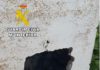 La Guardia Civil está investigado al presunto responsable de un delito de defraudación de fluido eléctrico