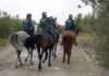 La Guardia Civil de Jaén refuerza el dispositivo para Prevención y Control de hurtos y robos de aceituna con el Escuadrón de Caballería