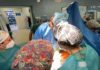 La provincia de Jaén registra 15 donaciones de órganos y tejidos en 2023
