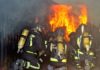 Los bomberos de Jaén realizaron casi un millar de intervenciones en 2023