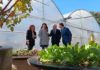 “Fundamental” el trabajo del CEE y asegura que es “clave para la integración laboral y social”