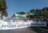 Manifestaciones de tractores a partir del día 14 de febrero