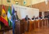 Unos 200 expertos participan en el V Congreso Internacional sobre Aceites de Oliva, Olivar y Salud