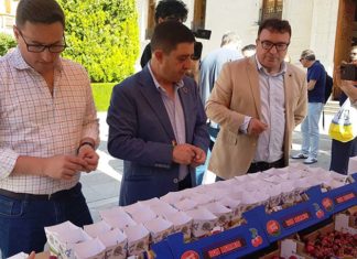 La lonja del Palacio Provincial acoge la 12ª Muestra de la Cereza para promocionar las bondades de este producto
