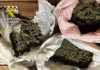 La Guardia Civil investiga a cuatro personas que pretendían introducir droga en el Festival Etnosur