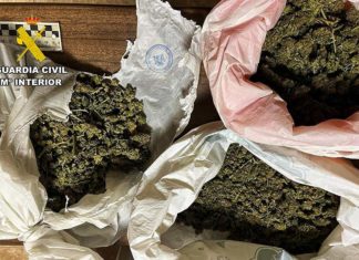 La Guardia Civil investiga a cuatro personas que pretendían introducir droga en el Festival Etnosur