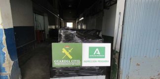 La Guardia Civil ha intervenido 1.032 kilogramos de diversos productos pesqueros no aptos para el consumo