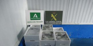 La Guardia Civil interviene 107,81 kilogramos de productos pesqueros caducados