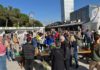Más de 3.000 personas han conocido los AOVEs tempranos en la Fiesta del Primer Aceite de Jaén en Sabadell