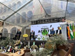 Reyes remarca que la Fiesta del Primer Aceite ayuda a situar a la provincia de Jaén como referente mundial del olivar