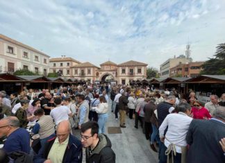La asistencia de miles de visitantes acredita el “rotundo éxito” de la XI Fiesta del Primer Aceite celebrada en Andújar
