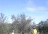 Noviembre nos trae bajada del desempleo en la provincia