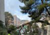 Alerta amarilla por viento en Jaén