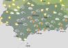 Cielos muy nubosos con precipitaciones débiles, localmente moderadas
