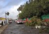 Un fuerte viento provoca daños en tendidos eléctricos y árboles en Ayamonte e Isla Cristina