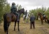 La Guardia Civil ha logrado recuperar más de 62 por ciento de la aceituna sustraída