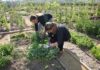495 nuevos parados en la provincia de Jaén en el mes de marzo
