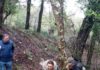 Reintroducción de cangrejos de río ibérico en Parque Natural de las Sierras de Cazorla, Segura y Las Villas para recuperar la especie