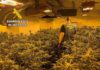 La Guardia Civil desmantela una plantación con más de 400 plantas de marihuana en Alcalá la Real