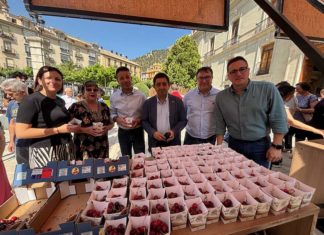 El Palacio Provincial acoge la 13ª Muestra de la Cereza para promocionar las bondades de este producto