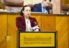 El PSOE acusa a la Junta y al PP de “no haber aportado nada al Tranvía, sólo palos en las ruedas”