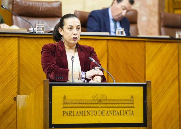 PSOE Mercedes-gamez