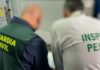 La Guardia Civil investiga al responsable de una empresa mayorista por la venta ilegal de ortiguillas