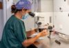La Unidad de Reproducción Asistida del Hospital Universitario de Jaén registra 159 embarazos