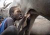 Una serie de fotografías sobre la tribu Mundari gana el XIII Certamen de Fotografía Solidaria de Diputación