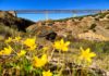Diputación convoca el IV Concurso ‘Recorriendo los Caminos Naturales Vías Verdes de la provincia de Jaén’