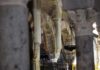 El Cabildo agradece la eficacia de los servicios de emergencia durante el incendio de La Mezquita-Catedral de Córdoba