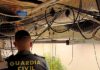 La Guardia Civil ha detenido a una persona y se han intervenido 15 plantas de marihuana y diverso material para su cultivo