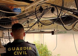 La Guardia Civil ha detenido a una persona y se han intervenido 15 plantas de marihuana y diverso material para su cultivo