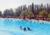 Incremento notable en el número de usuarios de las piscinas municipales en las primeras semanas de verano