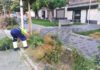 Continúa con plan de desbroce y limpieza en jardines, rotondas y zonas ajardinadas