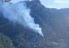 Cortada la carretera del Parque por el incendio del Paraje Fuente del Céfano