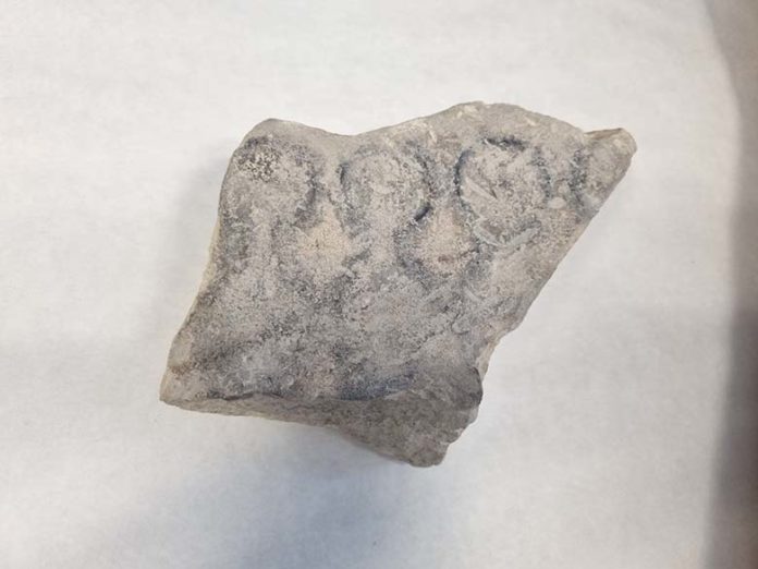 ARQUEOLOGÍA molde_monedas