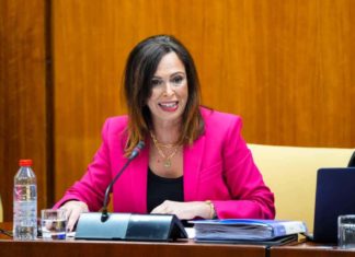 La Junta licita por 40,8 millones de euros las obras de la autovía del Olivar entre Martos y arroyo Salado
