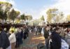 Fuenlabrada acogerá del 14 al 16 de noviembre la Fiesta del Primer Aceite de Jaén con la presencia de 33 AOVEs tempranos