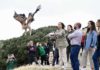 La Junta libera a ‘Jimena’, un nuevo ejemplar de águila imperial en el Parque Natural de Sierra Mágina