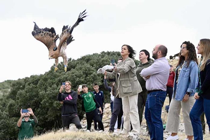SIERRA MAGINA CG suelta águila imperial (6)