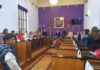 Pleno Infantil con motivo del Día de la Constitución con la participación de 30 centros educativos