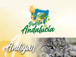 Puerta de Andalucía acude a FITUR con stand propio y nuevas experiencias turísticas de fin de semana