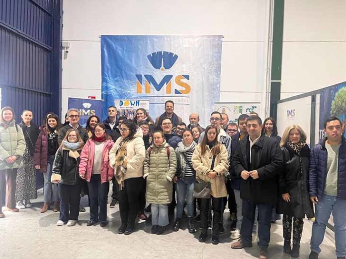 IMS Control Industrial