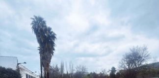 Preemergencia en Villacarrillo (Mogón) por el desbordamiento del río Guadalquivir